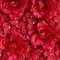 Red Silk Roses Hydrangea 11 sq ft UV Protected Wall Backdrop Vertical Panels